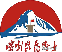 开幕式上 开幕式上