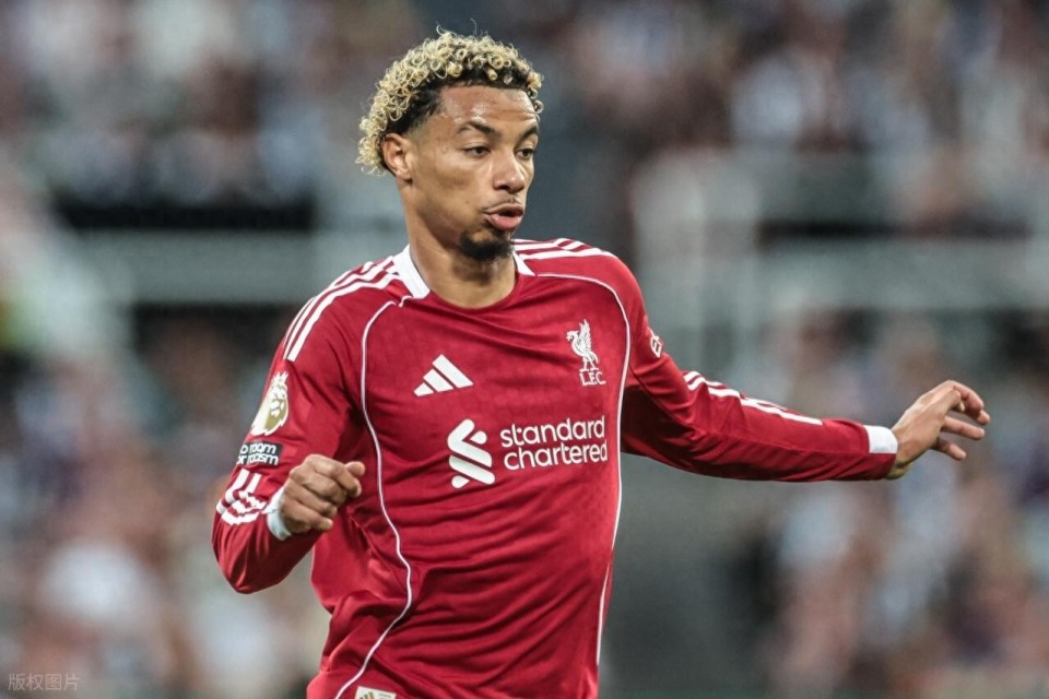 iEFQY, 比锡引进舍 iEFQY, 比锡引进舍