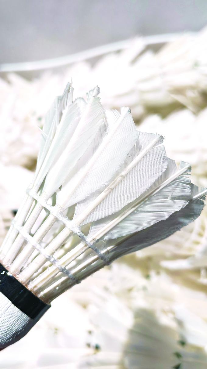 格是涨还是 格是涨还是