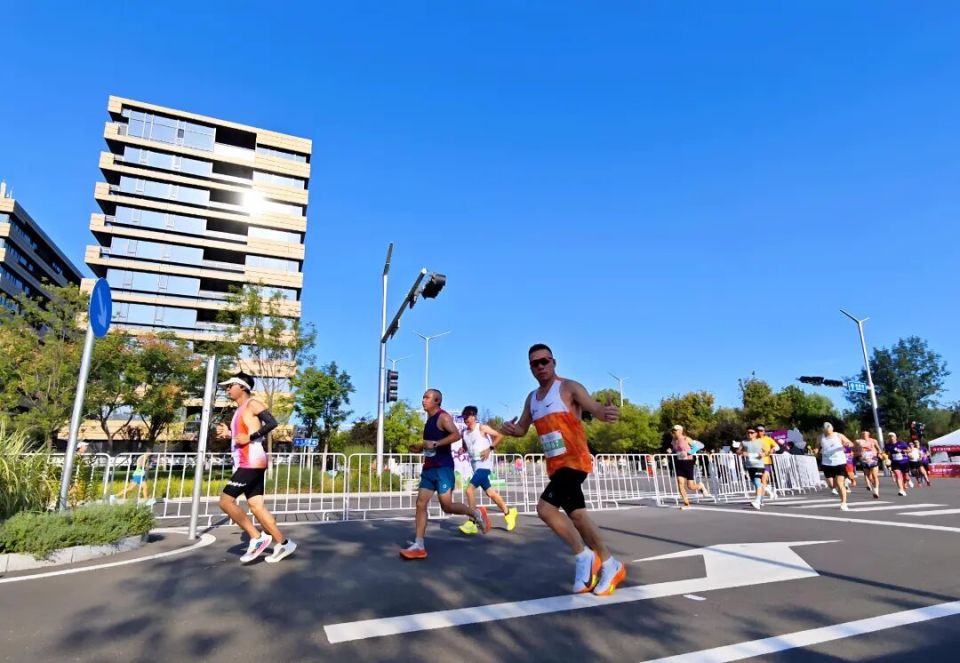 com, 新脉搏 com, 新脉搏