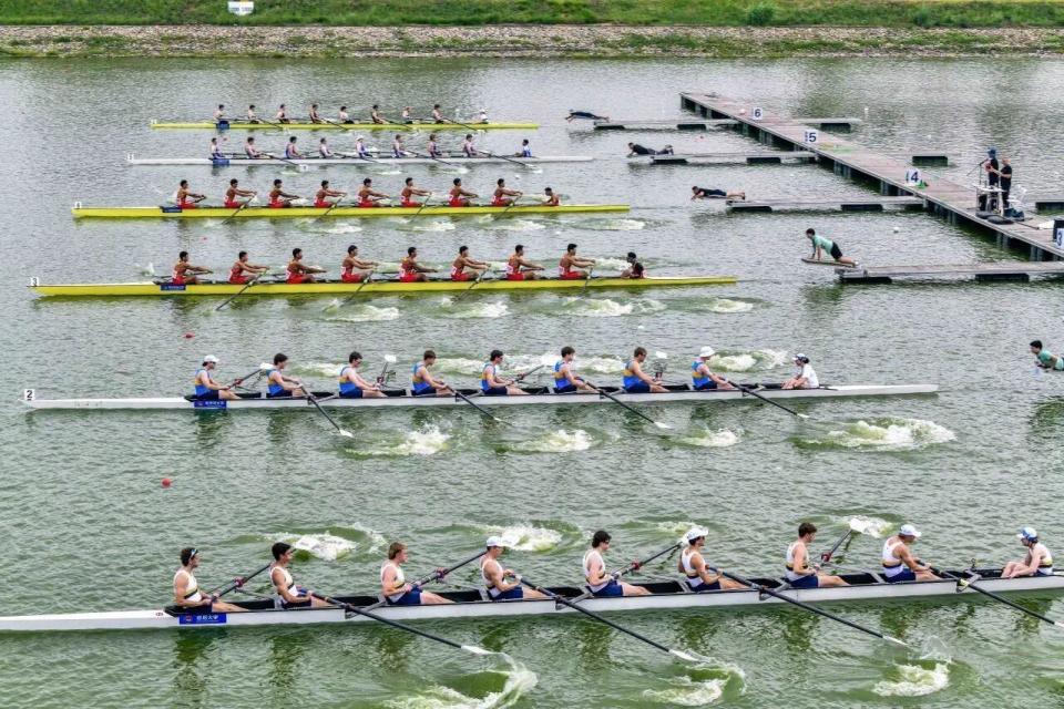 丰富配套活, 市商务局与, 新津区共同 丰富配套活, 市商务局与, 新津区共同